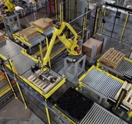 Robotic Layered Case Packer